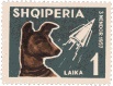 laika.gif