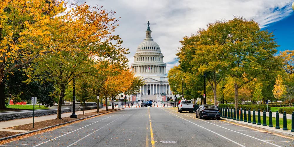 A tree-lined avenue in autumn leading to the U.S. Capitol